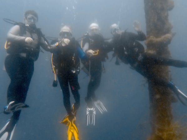 Swinger Scuba Trips